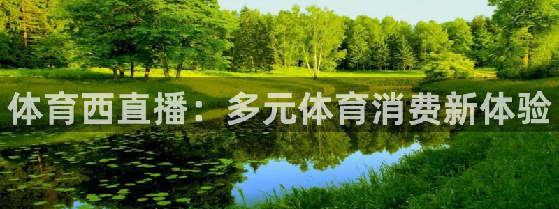 857体育赛事直播在线：体育西直播：多元体育消费新体验