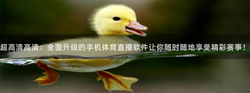 857体育赛事直播足球直播：超高清高清：全面升级的手机体育直播软件让你随时随地享受精彩赛事！