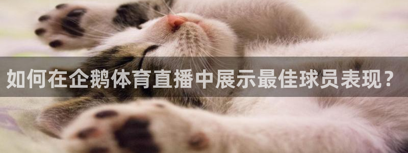 857体育直播在线观看免费下载：如何在企鹅体育直播中展示最佳球员表现？