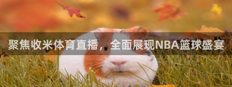 857体育赛事直播免费高清：聚焦收米体育直播，全面展现NBA篮球盛宴