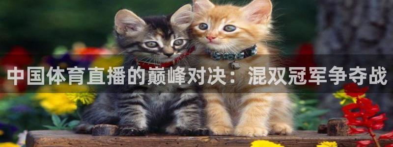 857体育直播平台：中国体育直播的巅峰对决：混双冠军争夺战