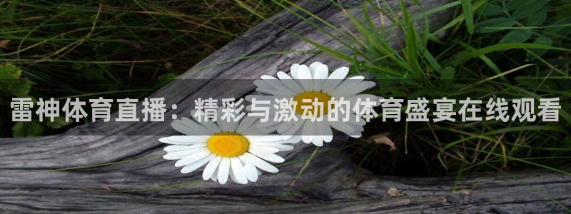 857直播看球直播间：雷神体育直播：精彩与激动的体育盛宴在线观看